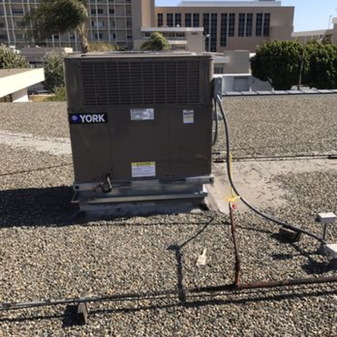 Delightful Duck Cooling and Heating Image