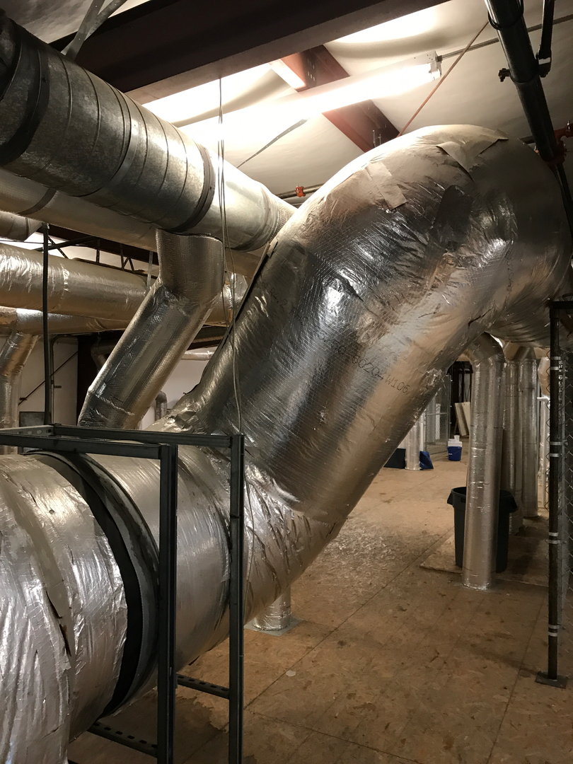 Delightful Duck Cooling and Heating Image