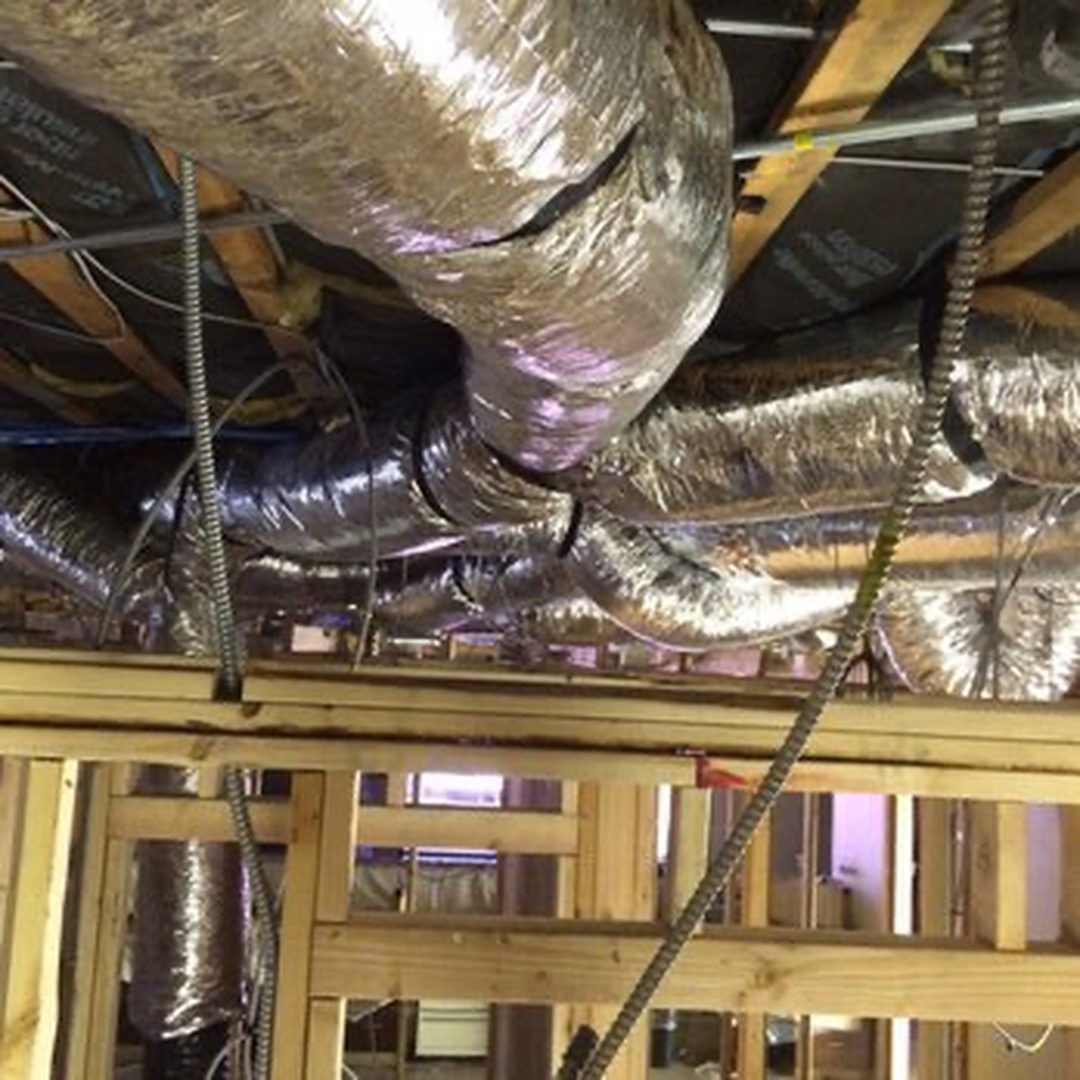 Delightful Duck Cooling and Heating Image