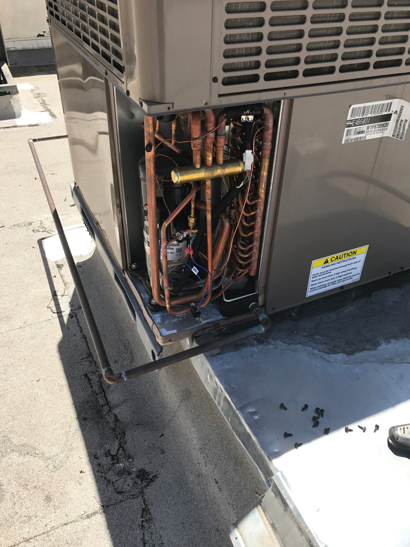 Delightful Duck Cooling and Heating Image