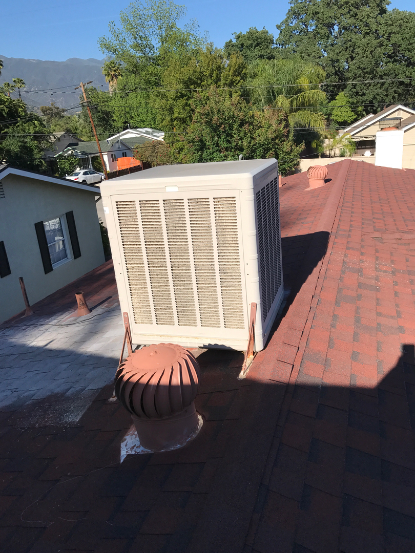 Delightful Duck Cooling and Heating Image