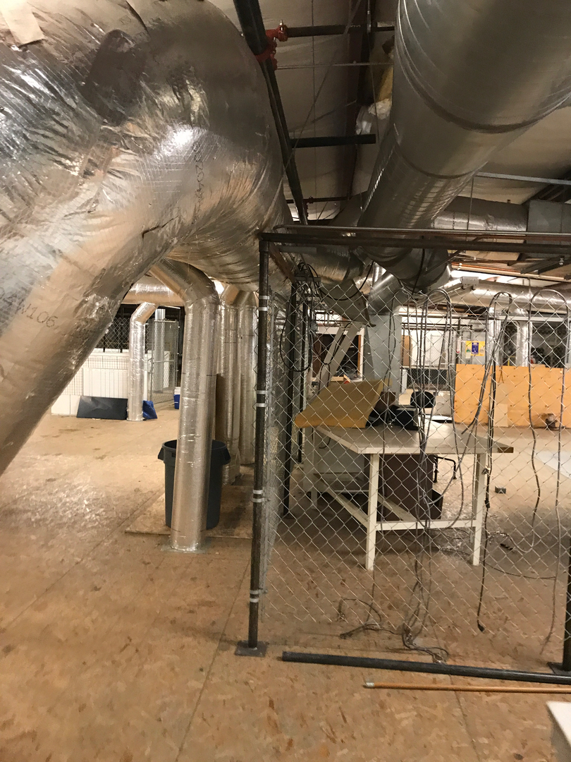 Delightful Duck Cooling and Heating Image