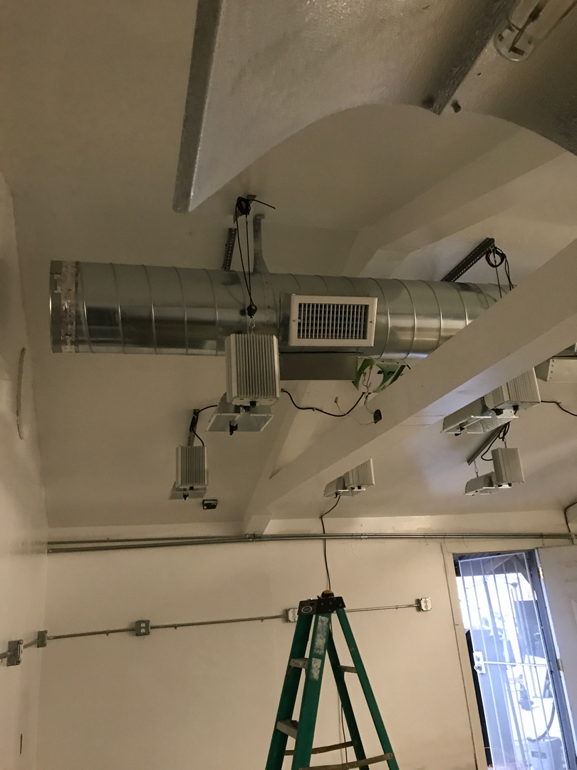 Delightful Duck Cooling and Heating Image