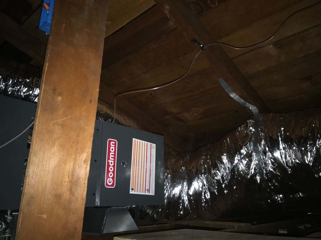 Delightful Duck Cooling and Heating Image