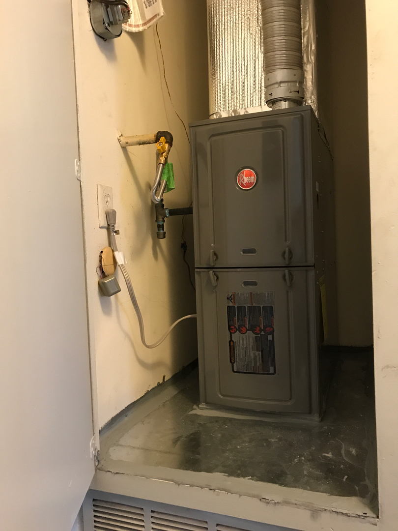 Delightful Duck Cooling and Heating Image