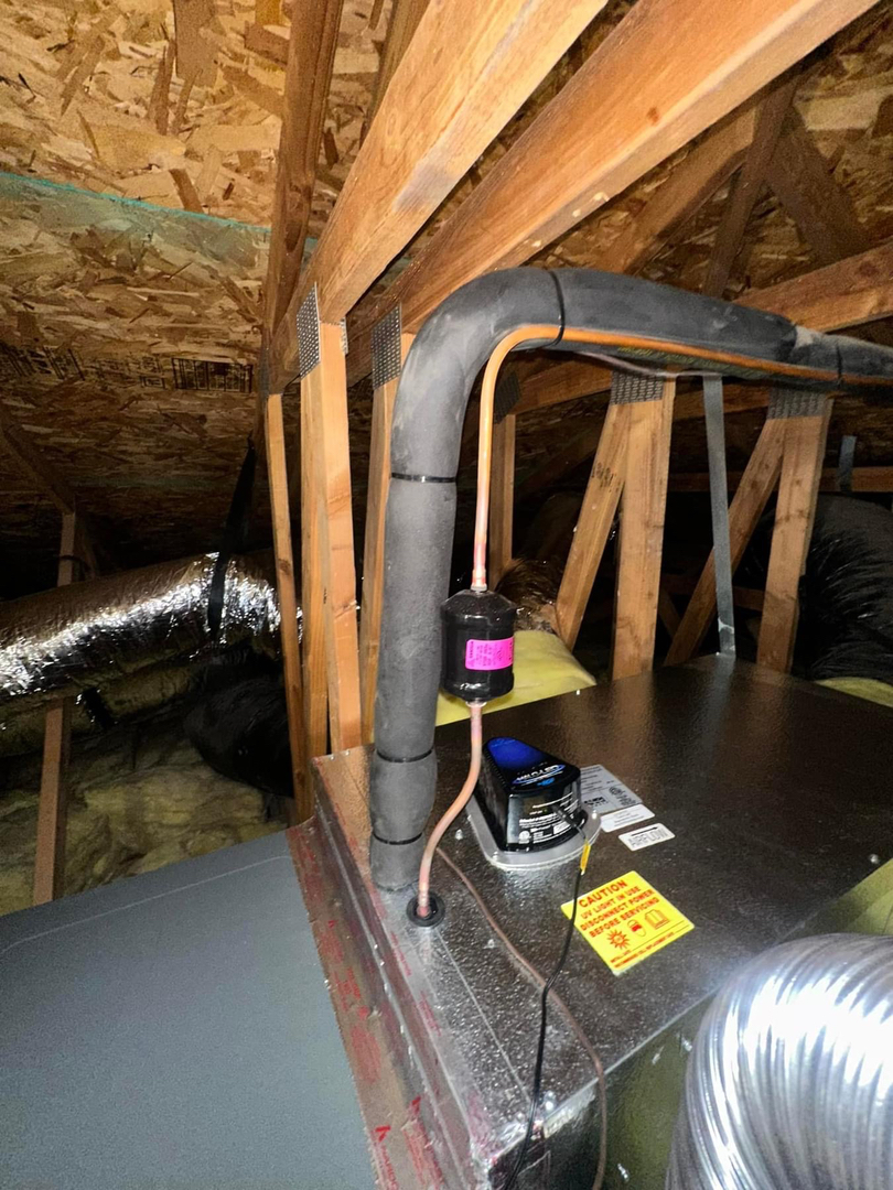 Delightful Duck Cooling and Heating Image