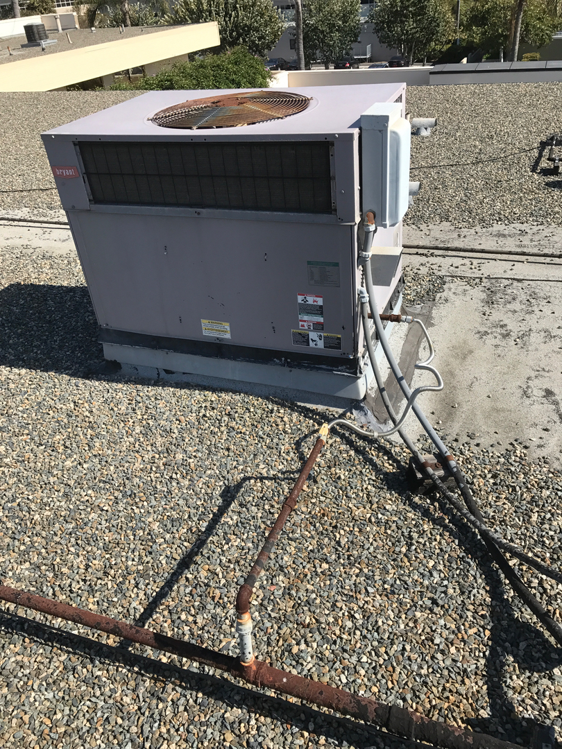 Delightful Duck Cooling and Heating Image