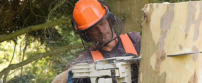 Autumn Tree Service - Emerson, NJ