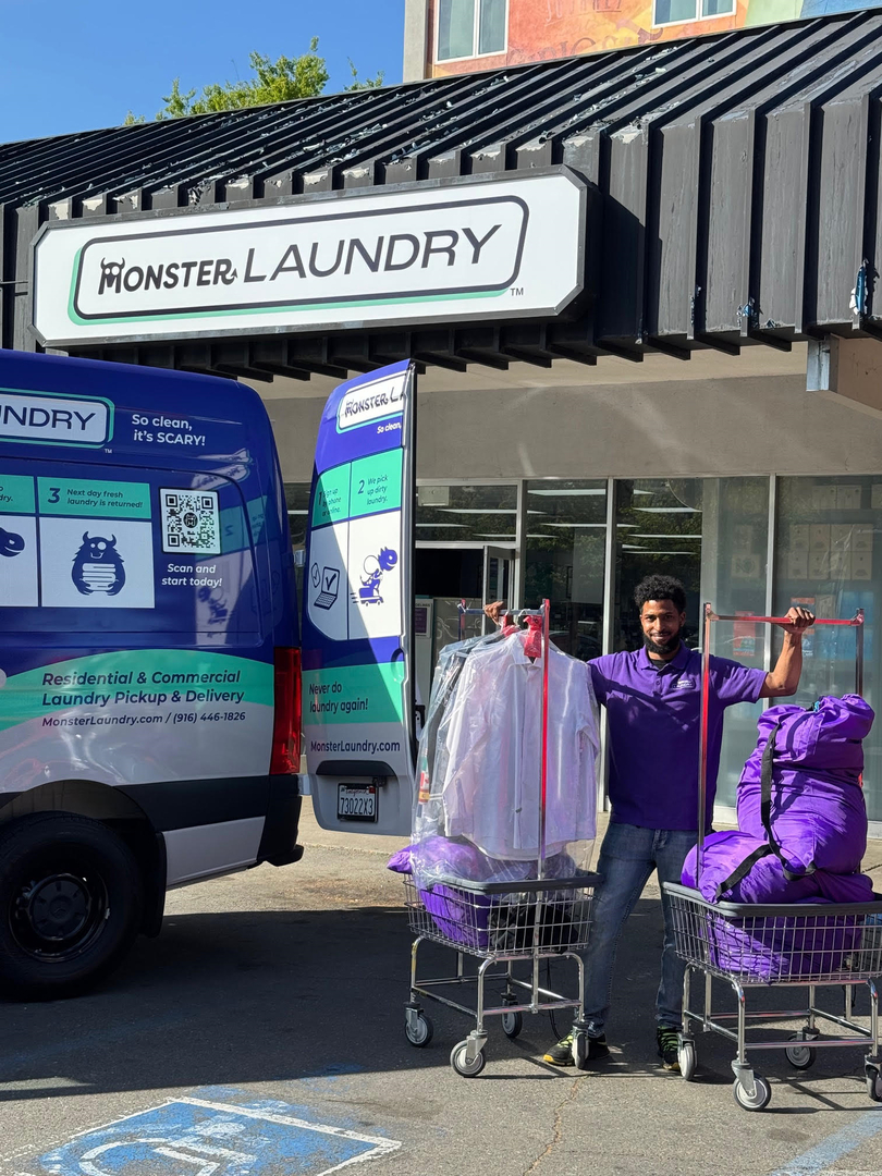 Monster Laundry Image