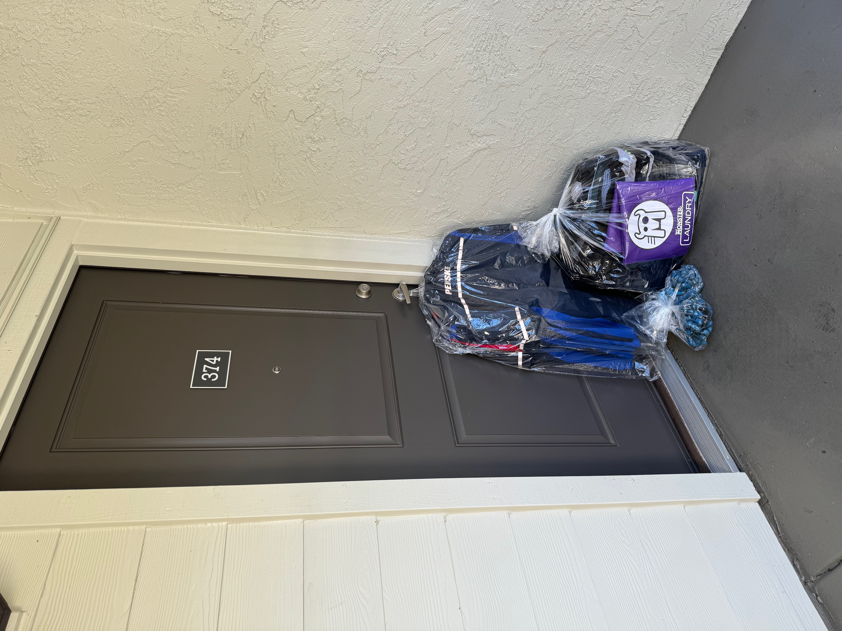 Monster Laundry Image