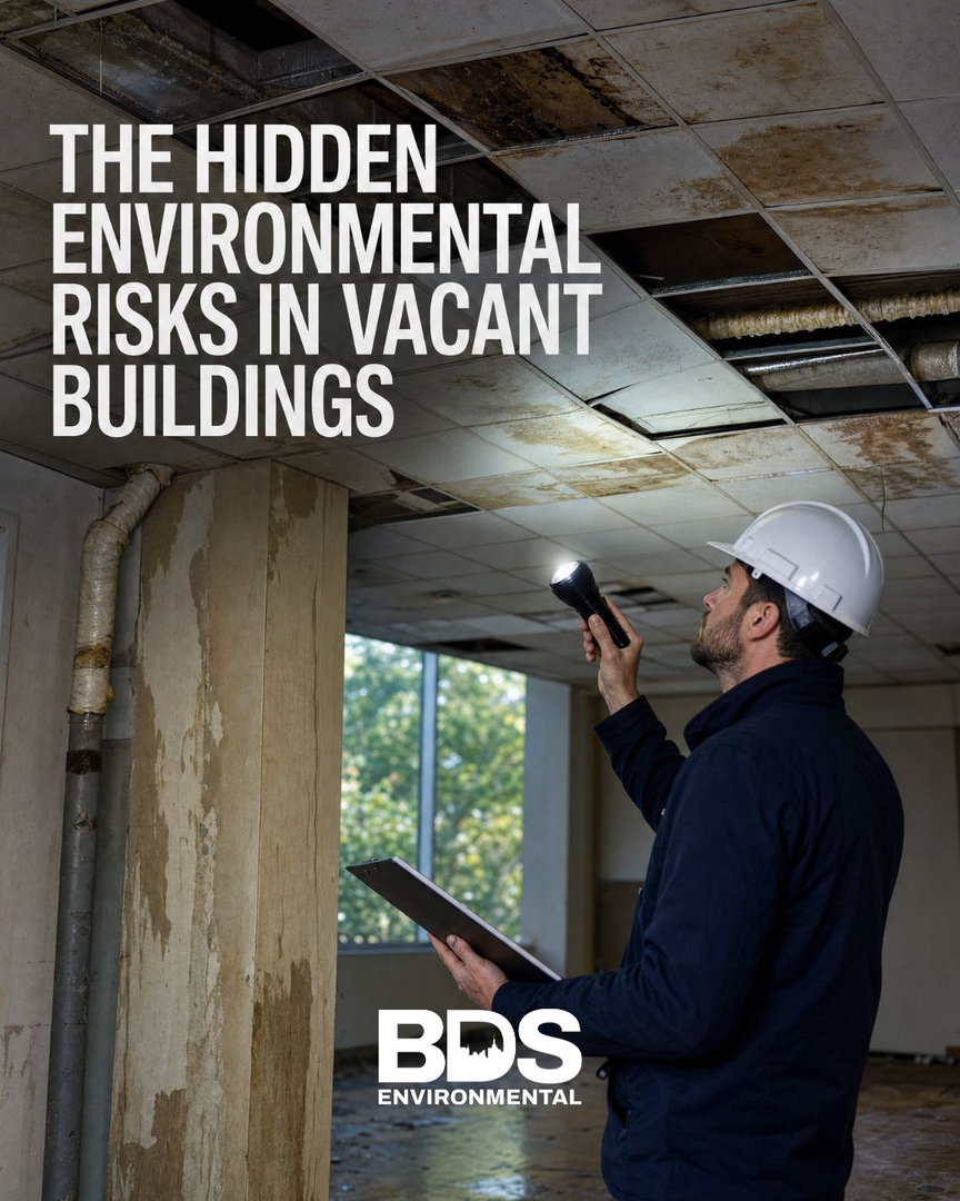BDS Environmental Image