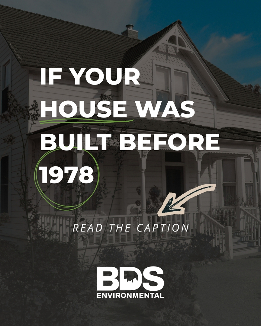 BDS Environmental Image