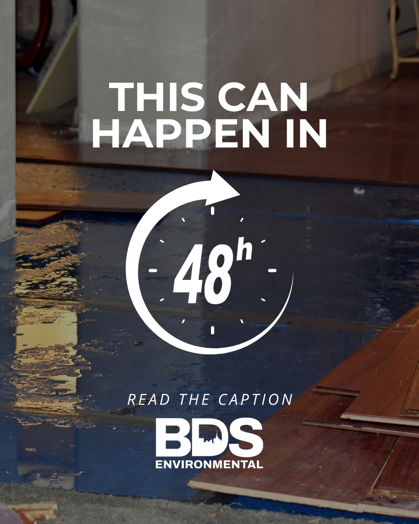 BDS Environmental Image