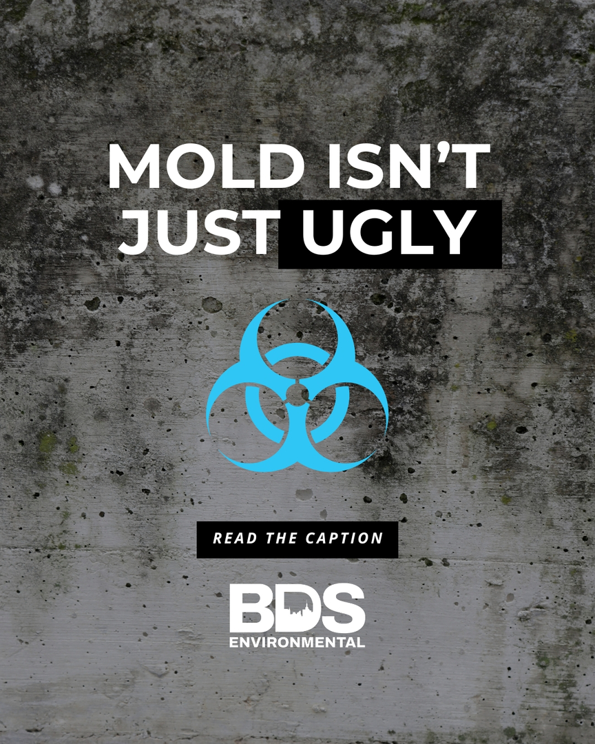 BDS Environmental Image