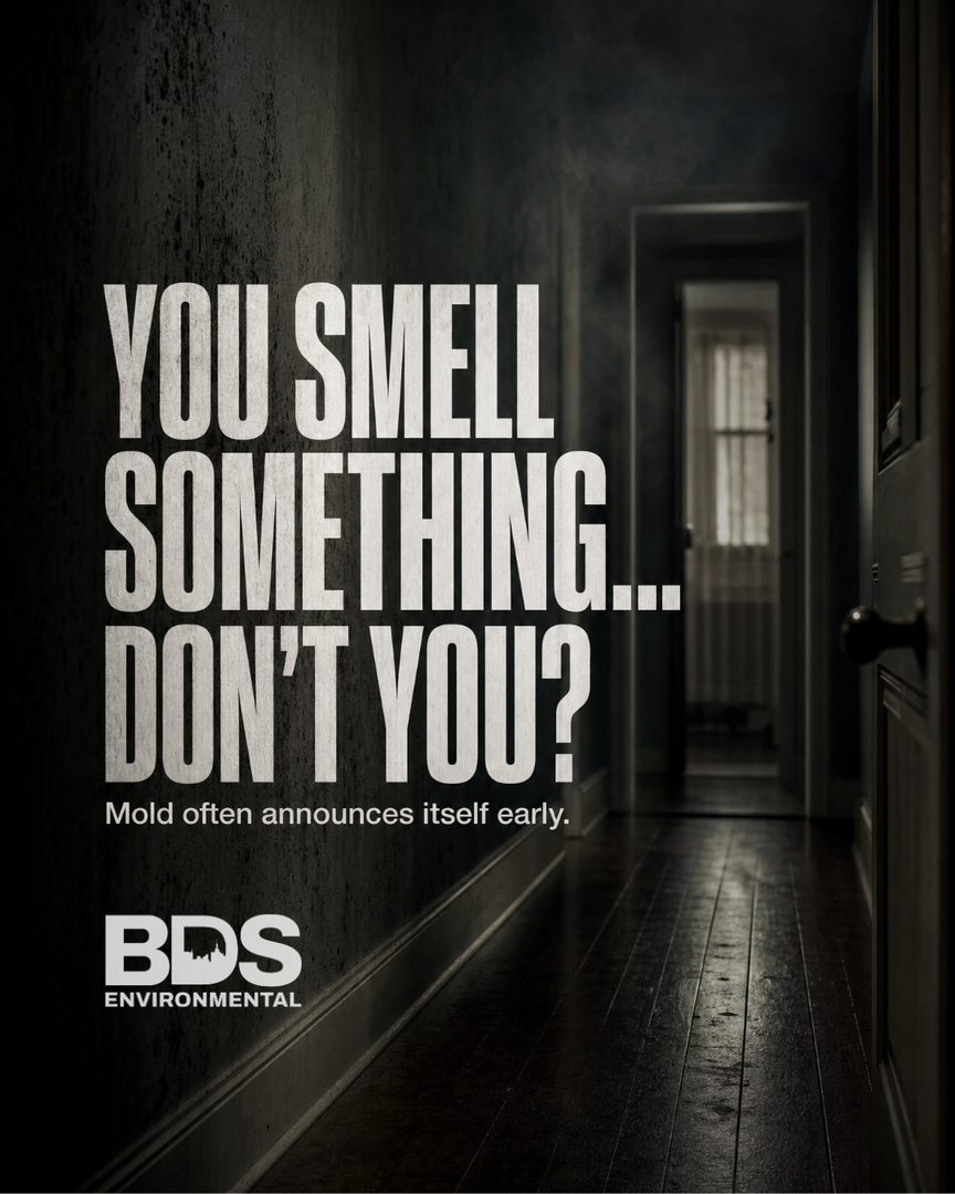 BDS Environmental Image