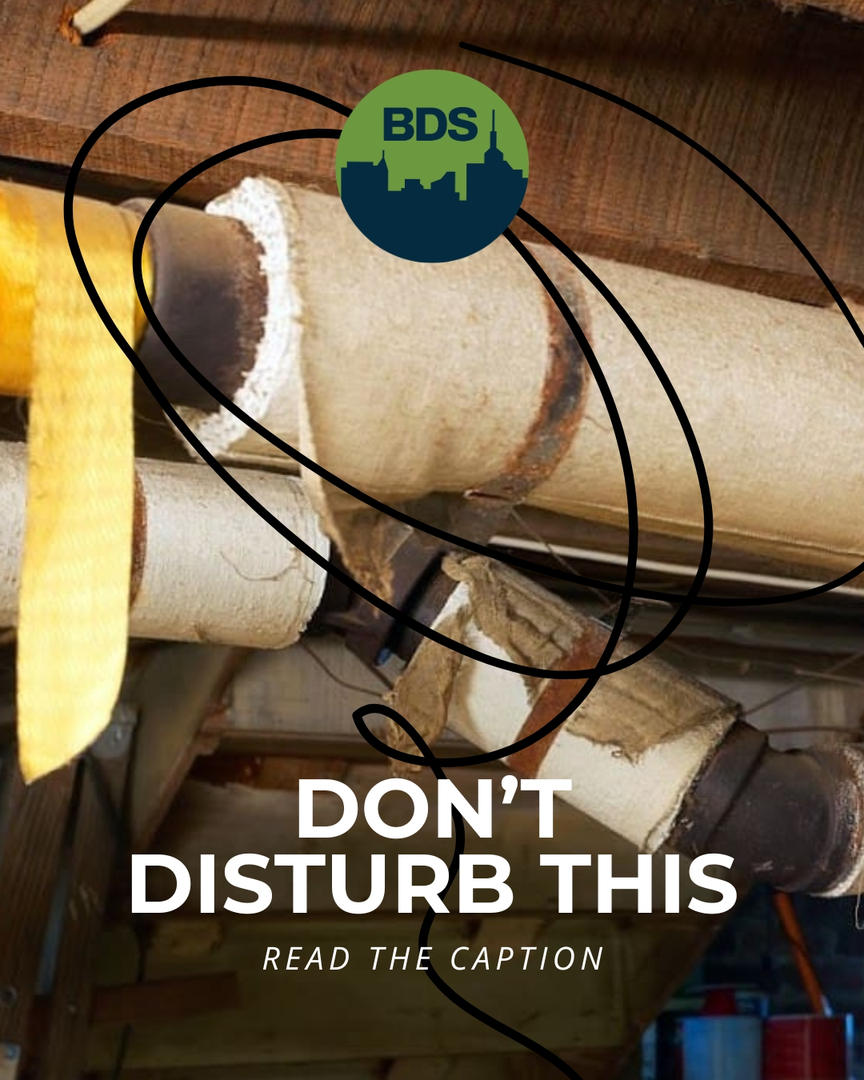 BDS Environmental Image