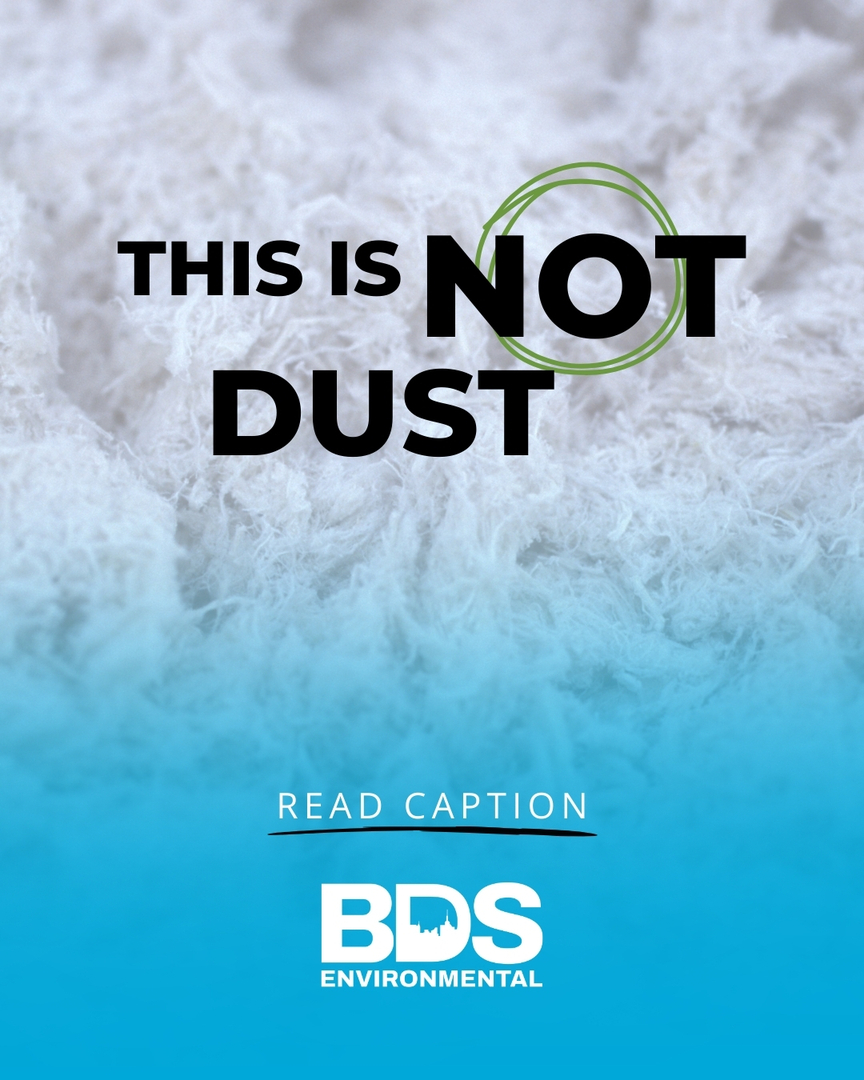 BDS Environmental Image
