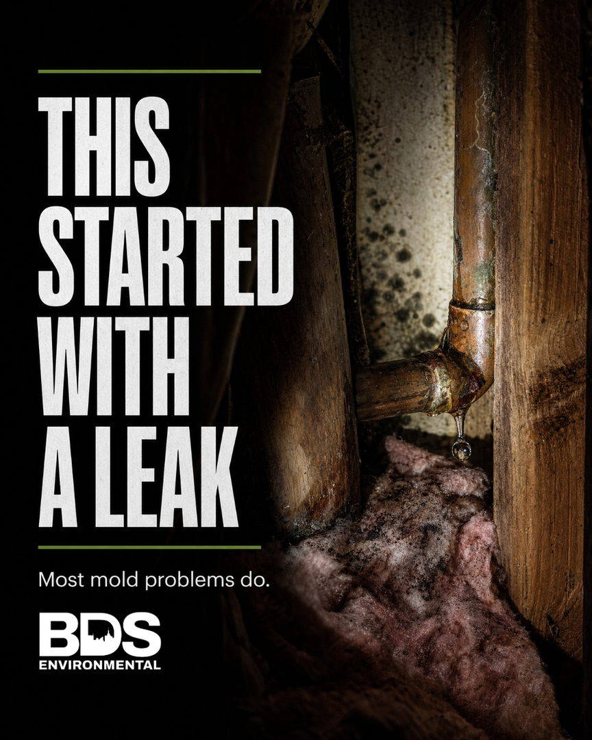 BDS Environmental Image