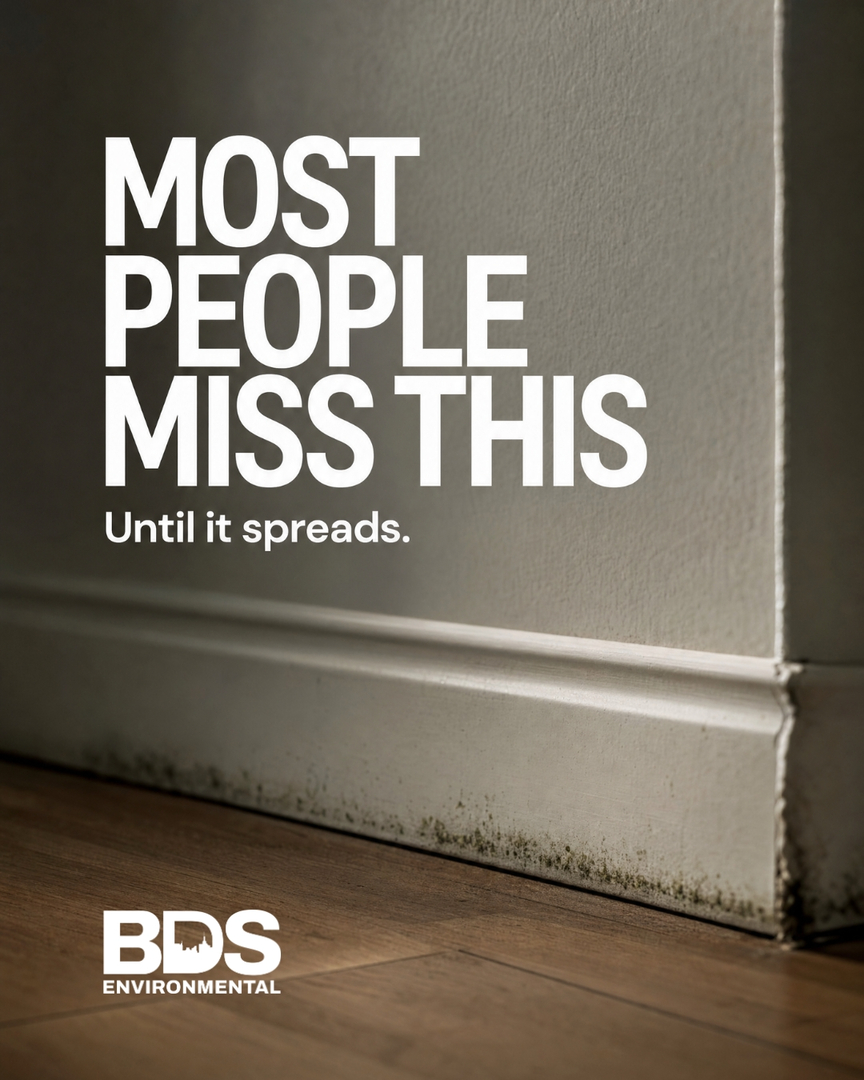 BDS Environmental Image
