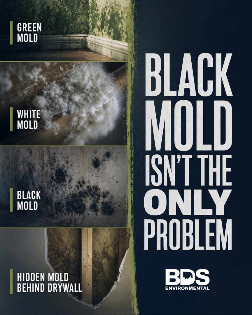 BDS Environmental Image