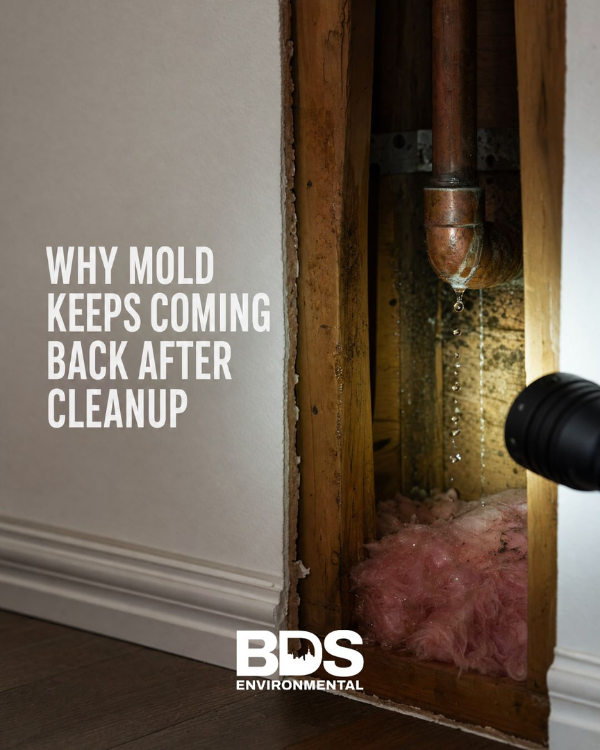 BDS Environmental Image