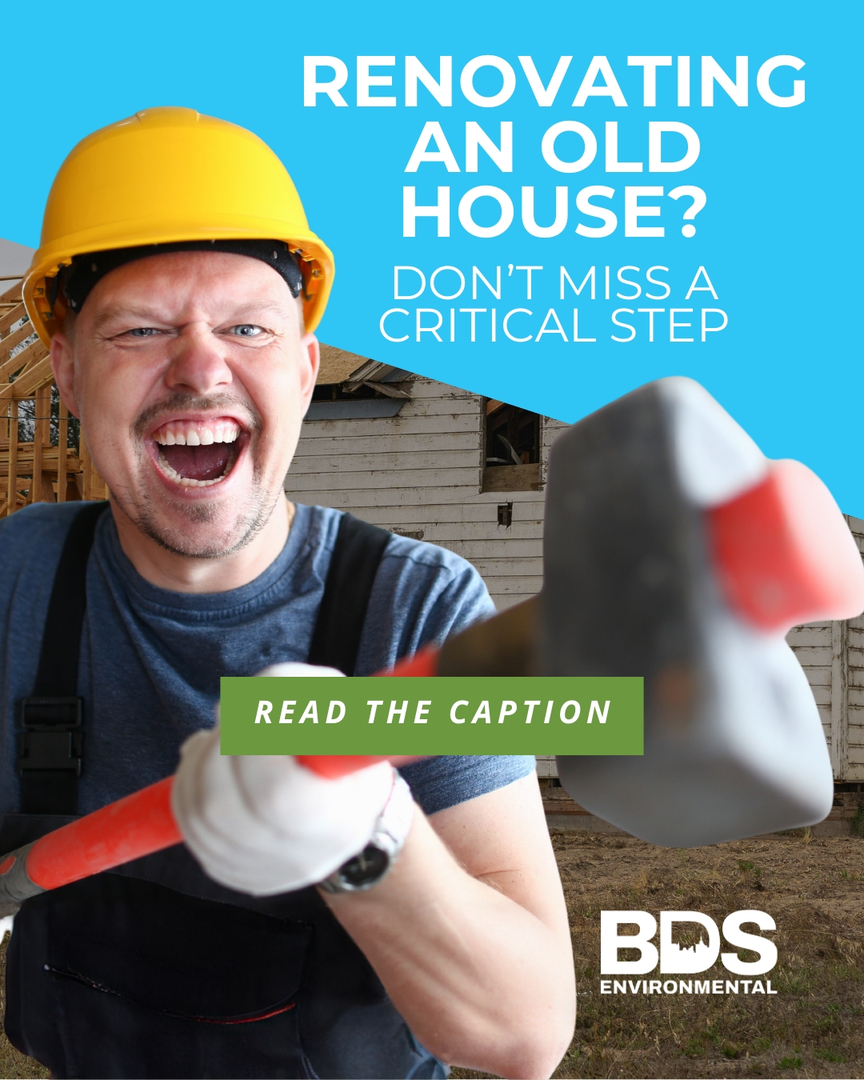 BDS Environmental Image