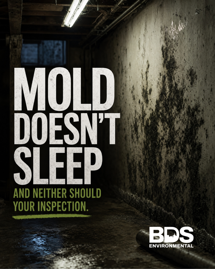 BDS Environmental Image