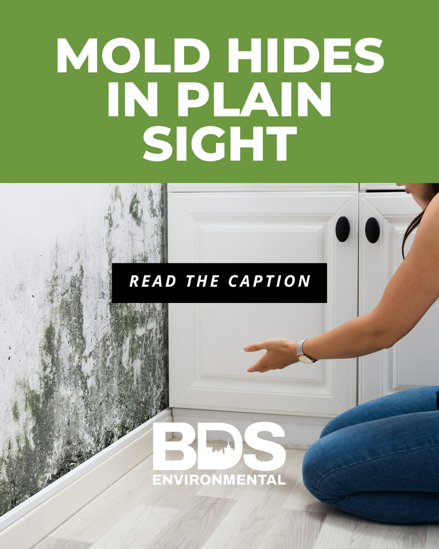 BDS Environmental Image