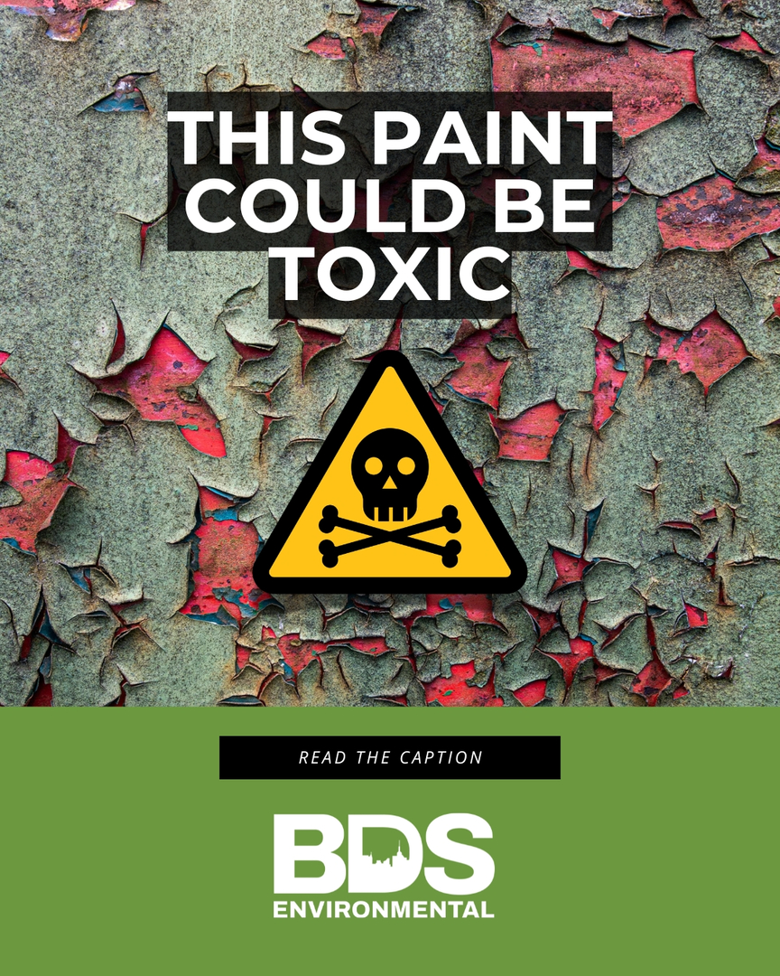 BDS Environmental Image