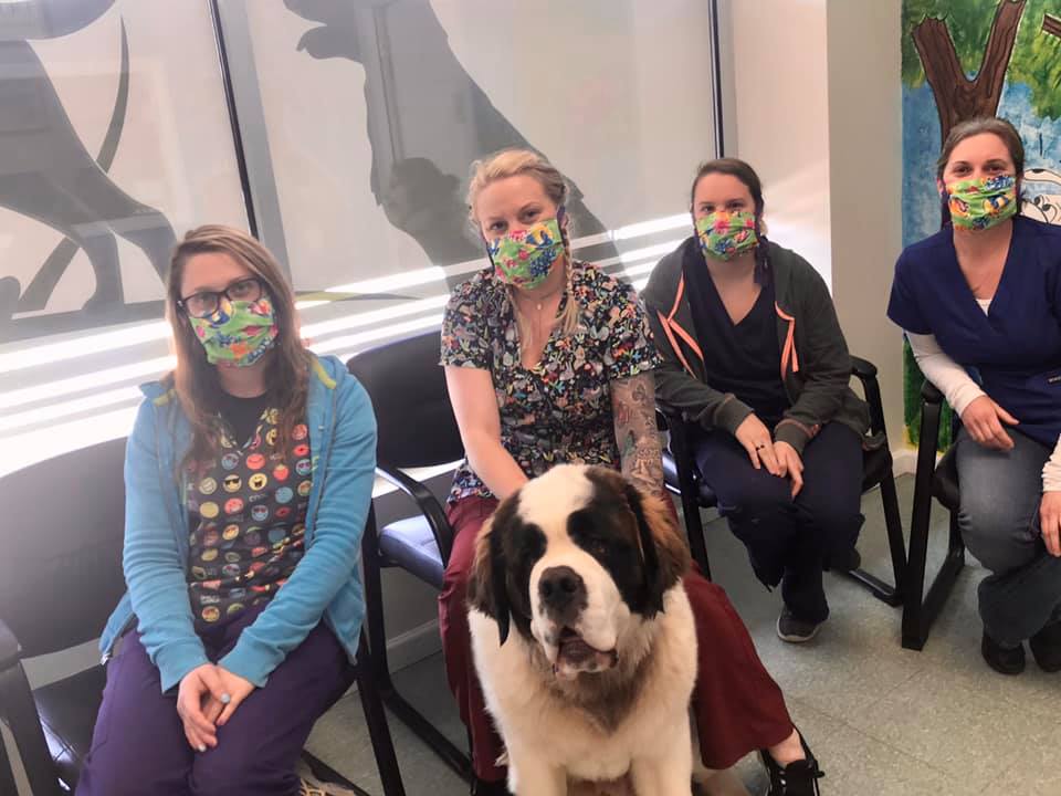 Country Animal Hospital - Old Bridge, NJ