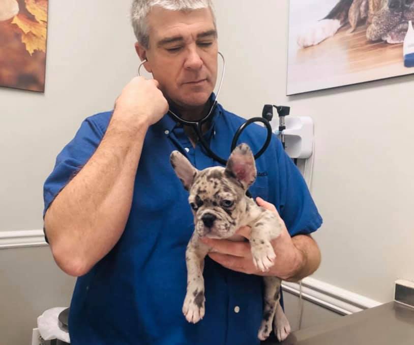 Country Animal Hospital - Old Bridge, NJ