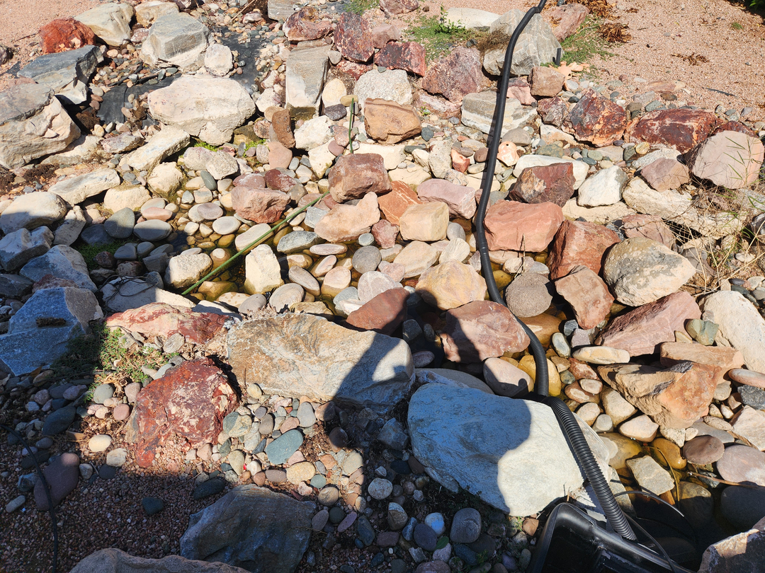 Local Choice Pest & Landscape Nutrition - Cave Creek, AZ