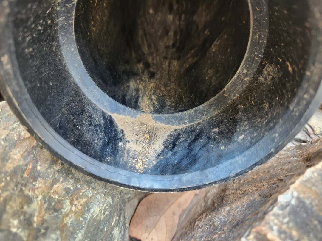 Local Choice Pest & Landscape Nutrition - Cave Creek, AZ