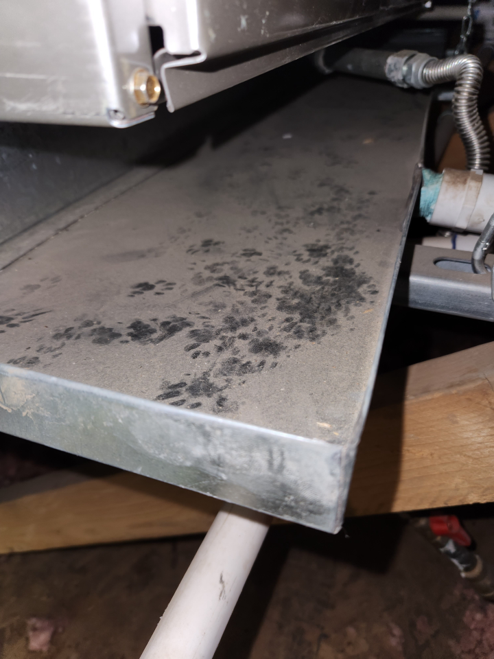 Local Choice Pest & Landscape Nutrition - Cave Creek, AZ