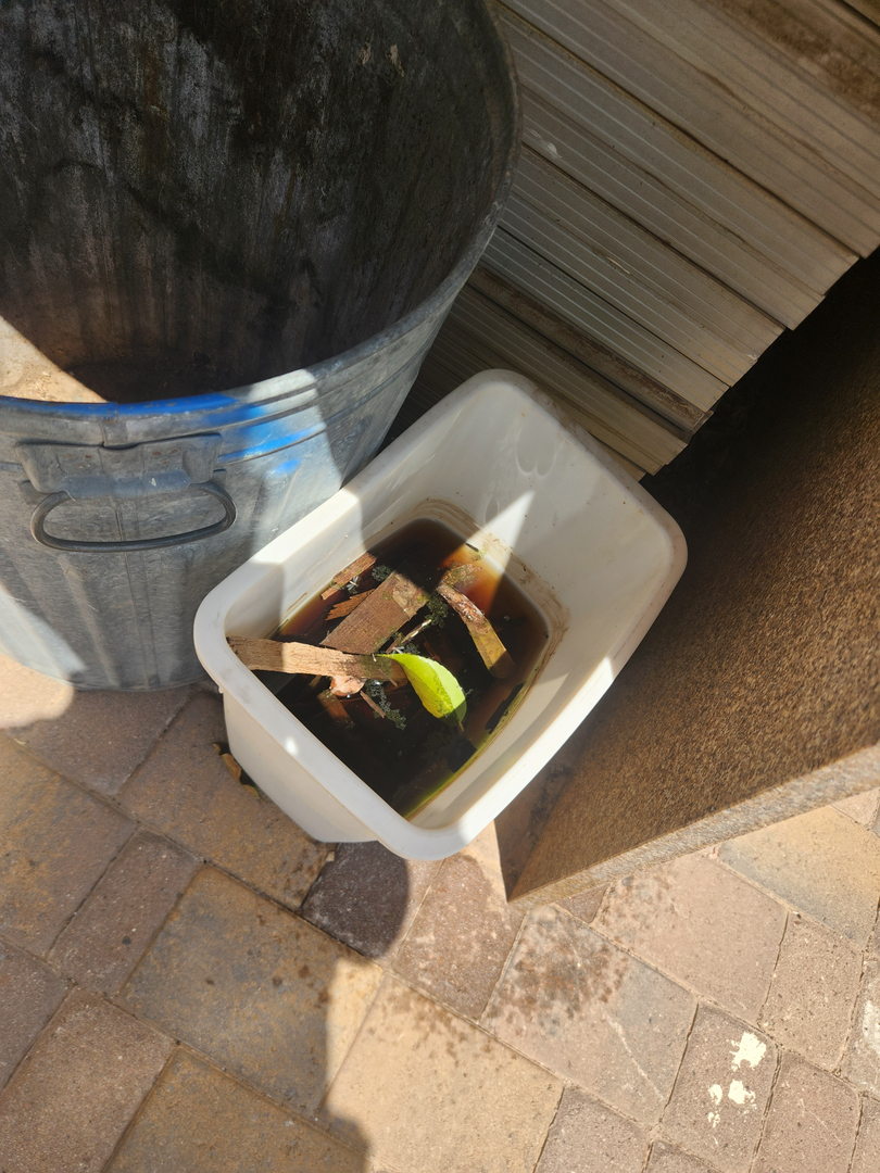 Local Choice Pest & Landscape Nutrition - Cave Creek, AZ