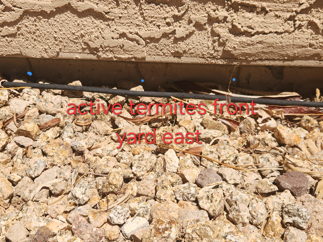 Local Choice Pest & Landscape Nutrition - Cave Creek, AZ