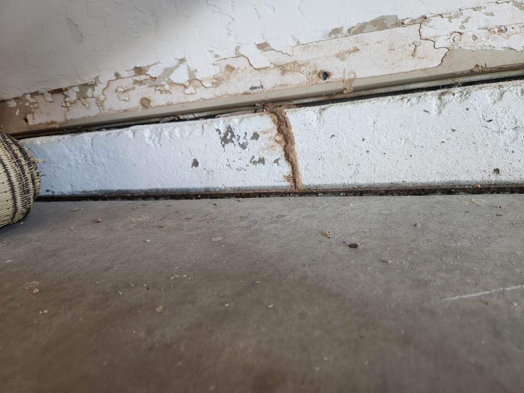 Local Choice Pest & Landscape Nutrition - Cave Creek, AZ