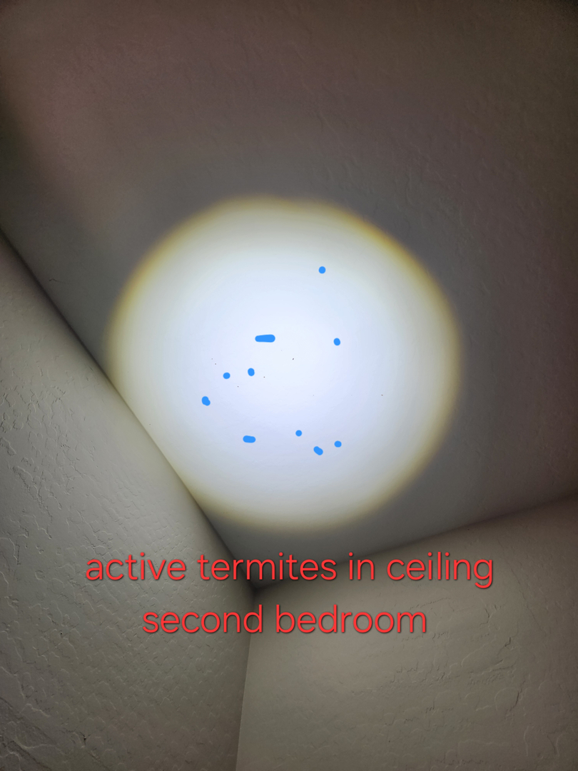 Local Choice Pest & Landscape Nutrition - Cave Creek, AZ