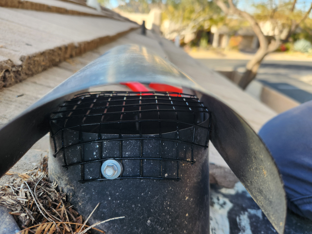 Local Choice Pest & Landscape Nutrition - Cave Creek, AZ