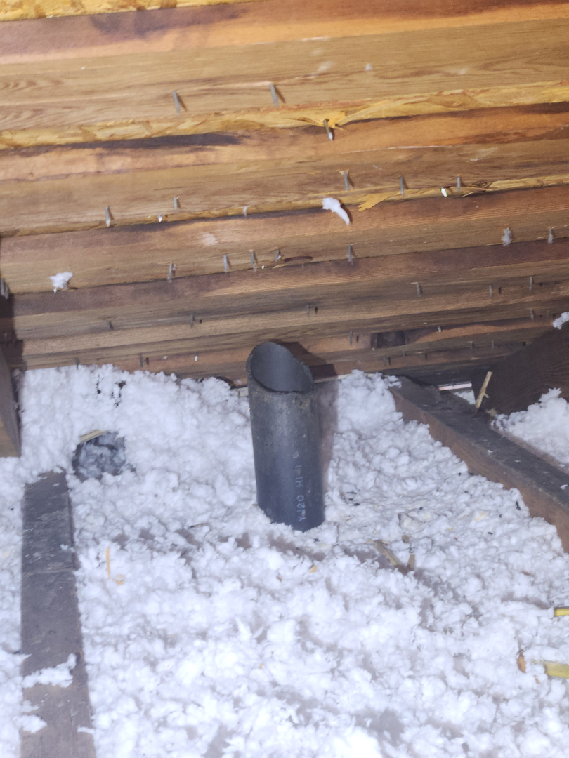 Local Choice Pest & Landscape Nutrition - Cave Creek, AZ