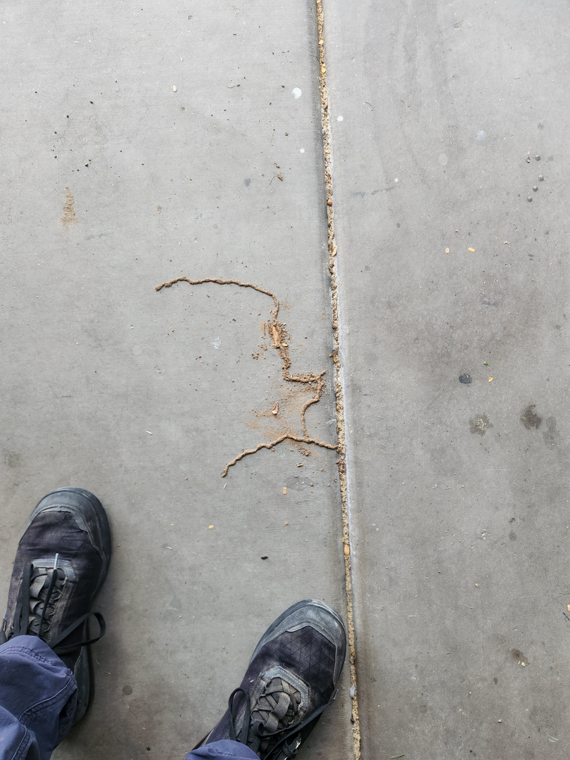 Local Choice Pest & Landscape Nutrition - Cave Creek, AZ