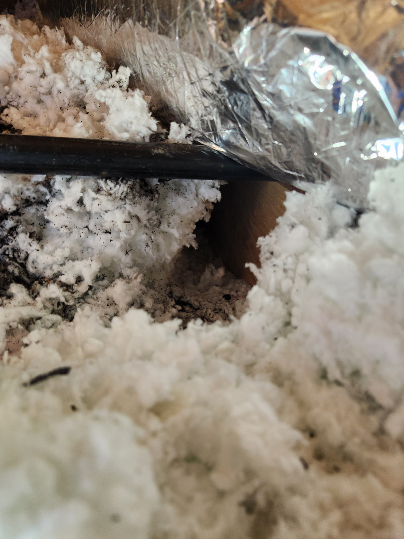 Local Choice Pest & Landscape Nutrition - Cave Creek, AZ