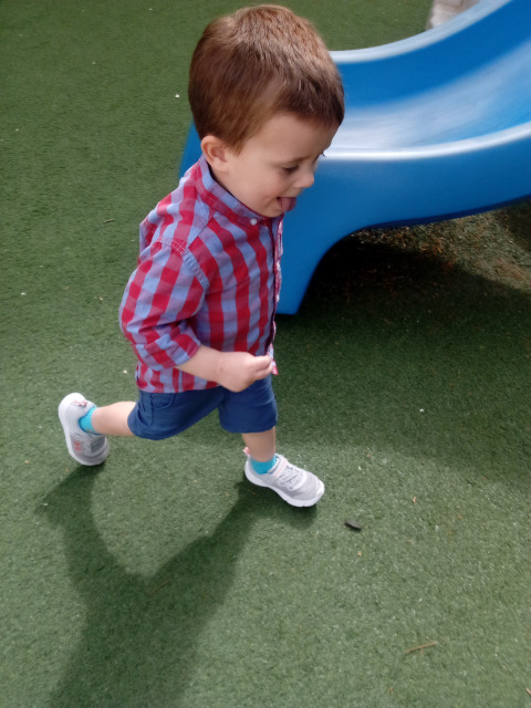 Bambini Montessori Academy Image