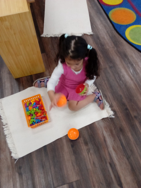 Bambini Montessori Academy Image