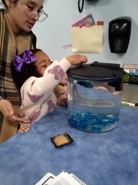 Bambini Montessori Academy Image