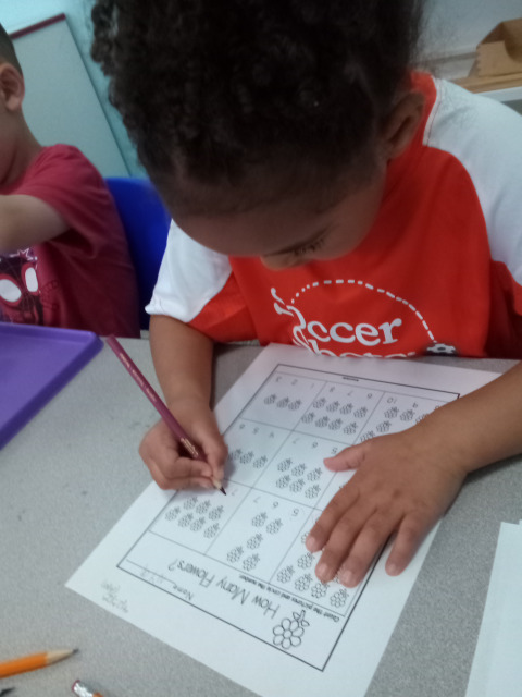 Bambini Montessori Academy Image