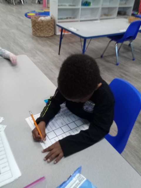 Bambini Montessori Academy Image