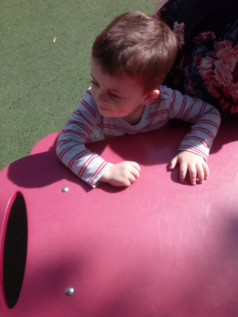 Bambini Montessori Academy Image