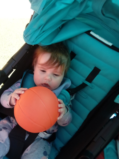 Bambini Montessori Academy Image