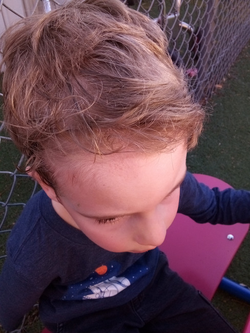 Bambini Montessori Academy Image